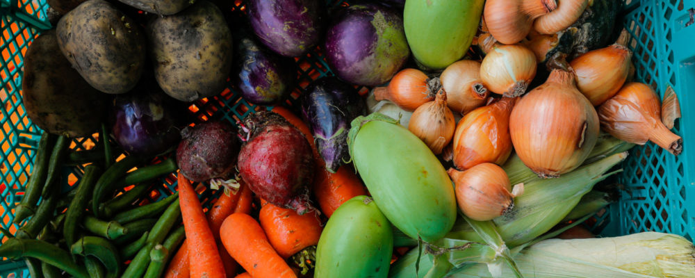 たんとファーム